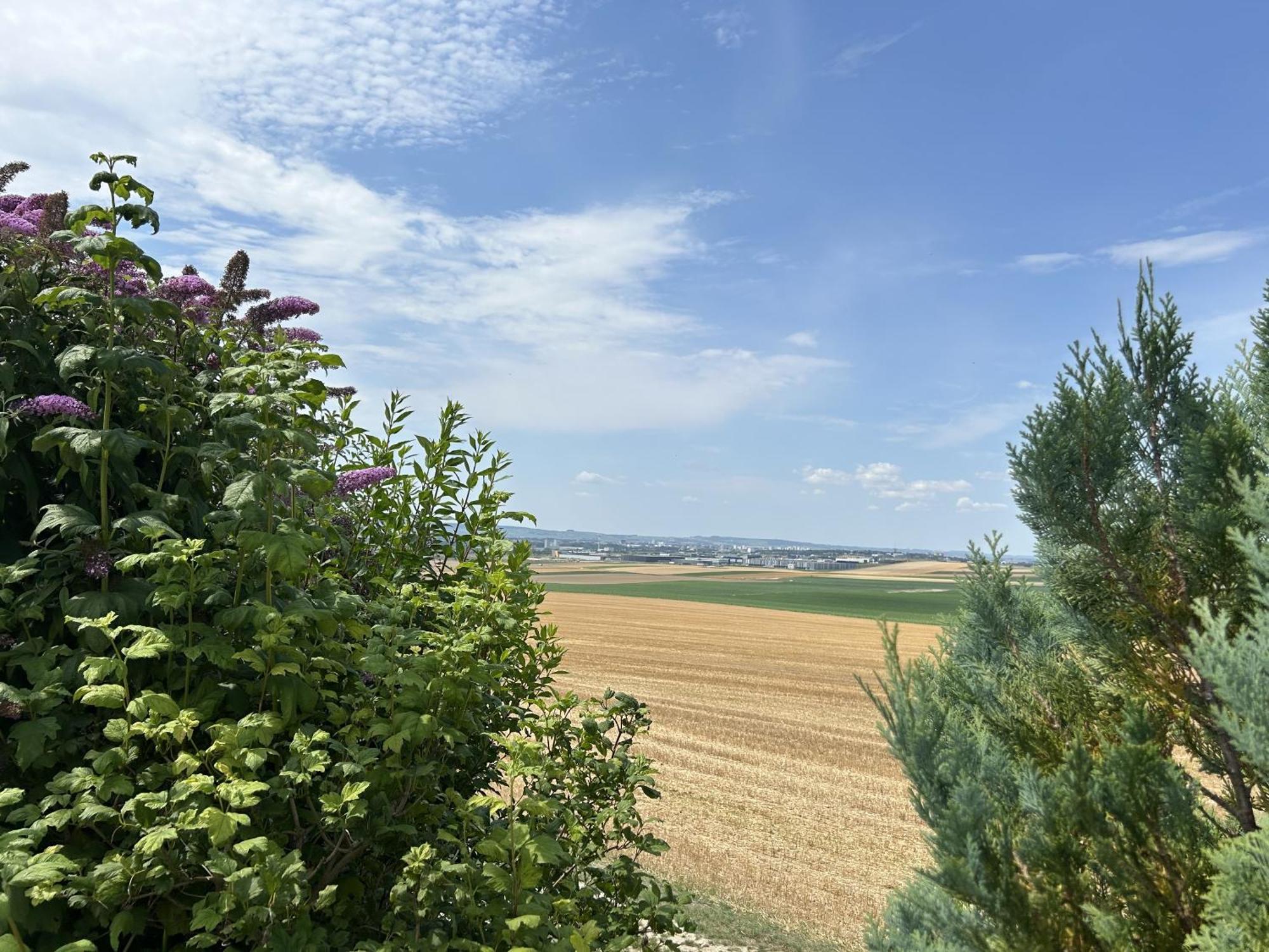 L'Intemporel Cernay-les-Reims Extérieur photo