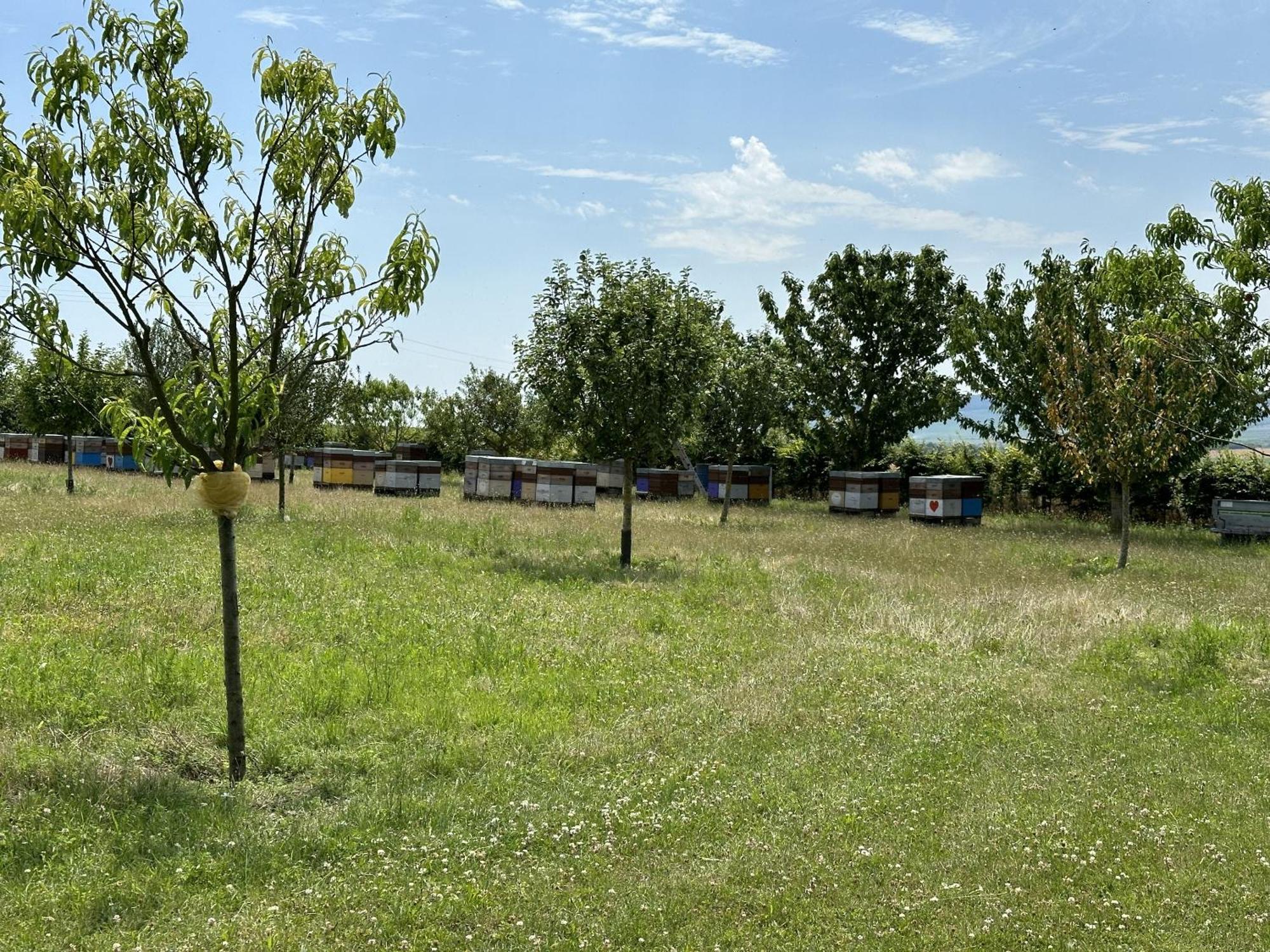 L'Intemporel Cernay-les-Reims Extérieur photo